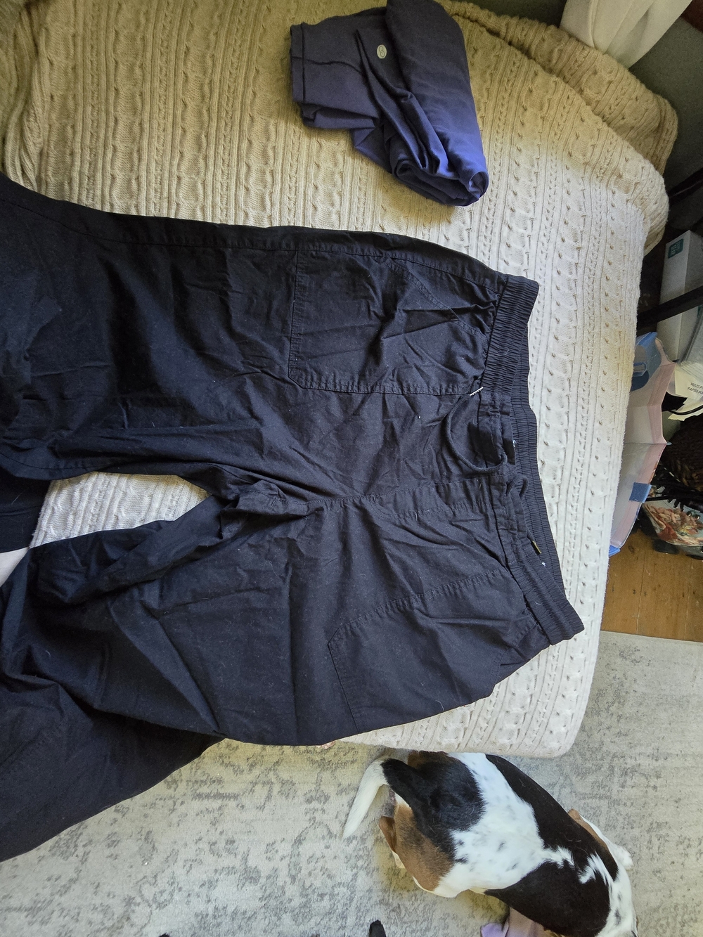 Plus Reitmans Black Elastic-Waist Capri
